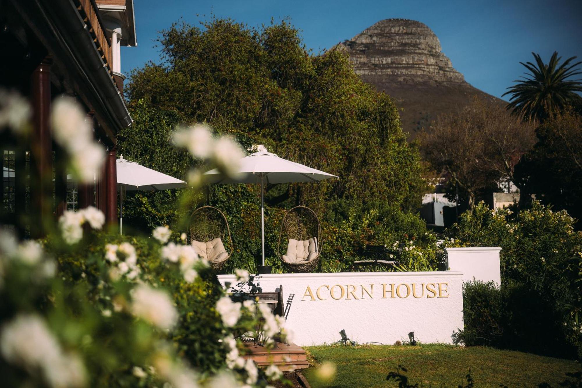לינה וארוחת בוקר קייפטאון Acorn House מראה חיצוני תמונה