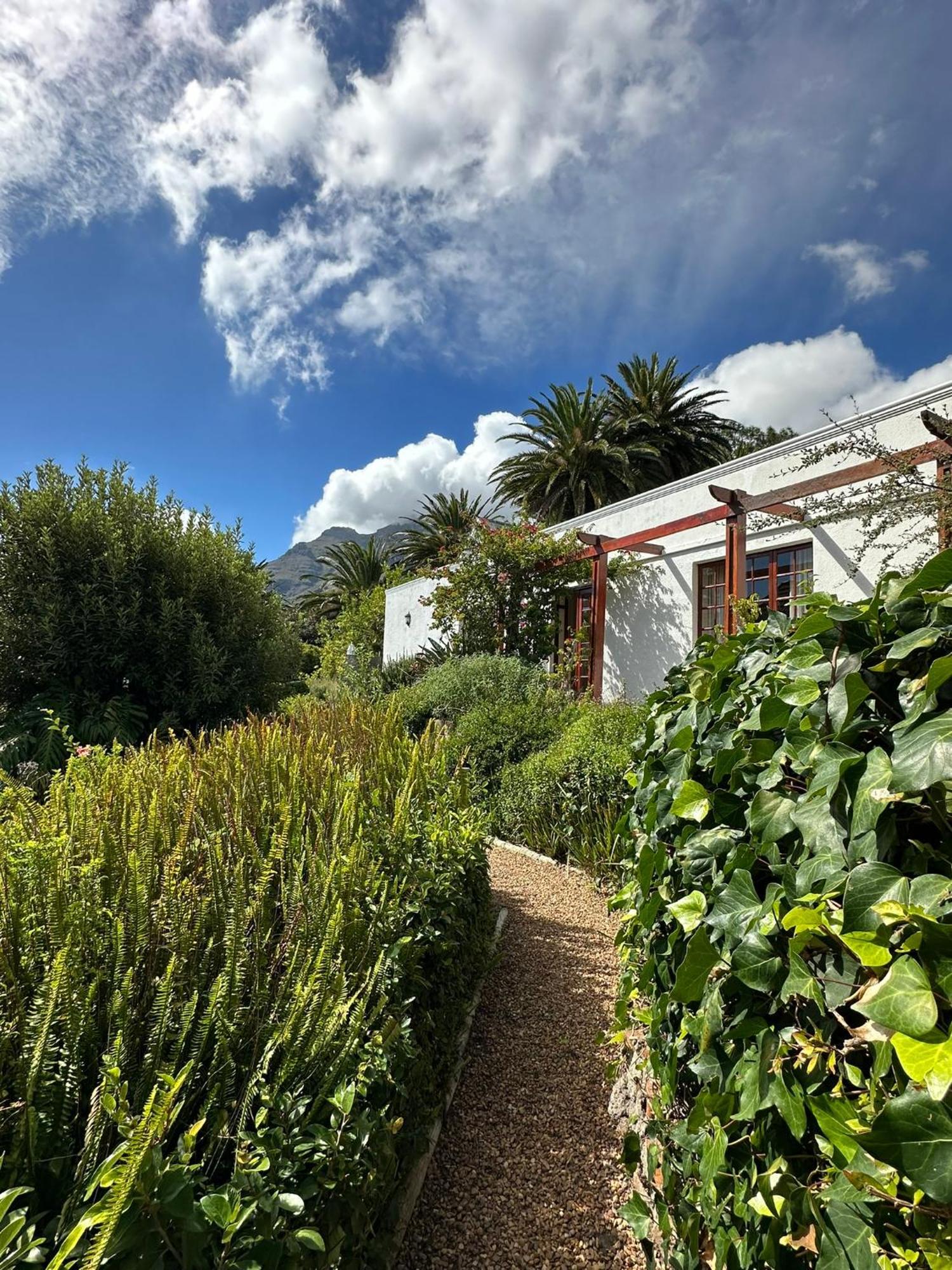 לינה וארוחת בוקר קייפטאון Acorn House מראה חיצוני תמונה