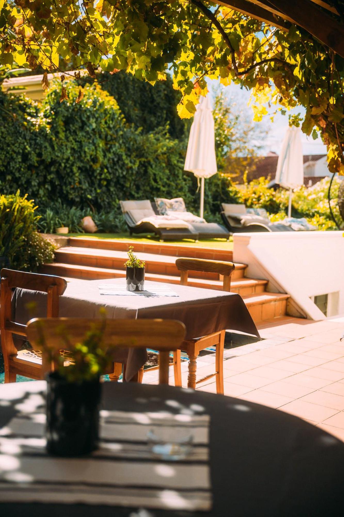 לינה וארוחת בוקר קייפטאון Acorn House מראה חיצוני תמונה